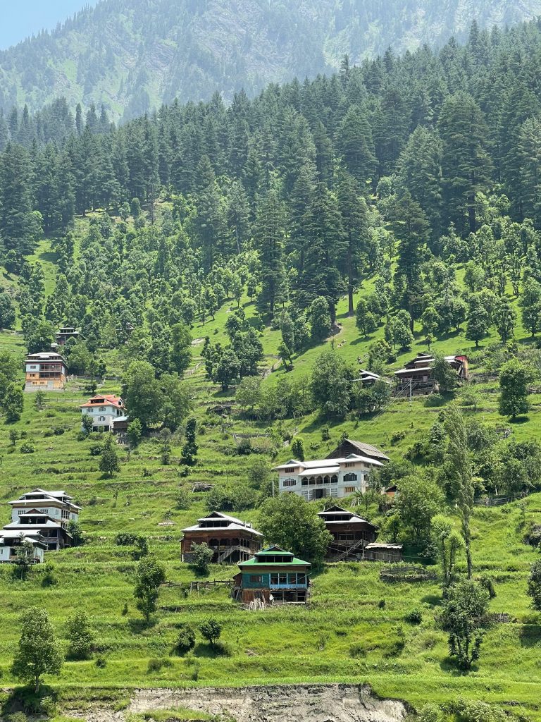 kashmir