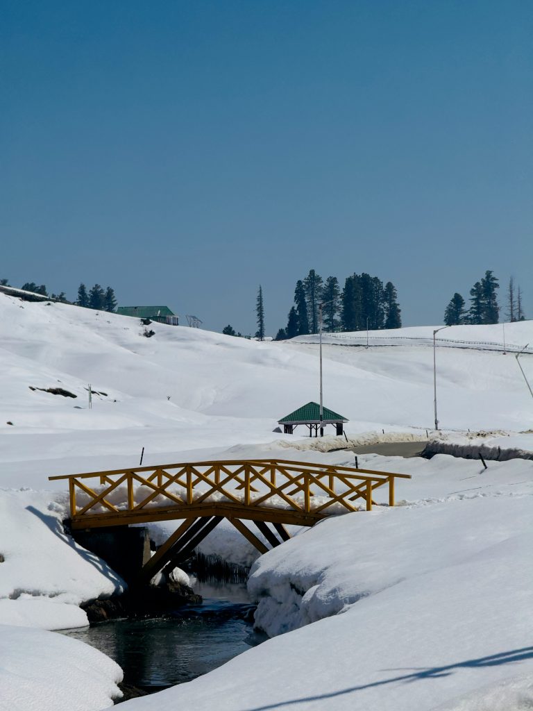kashmir