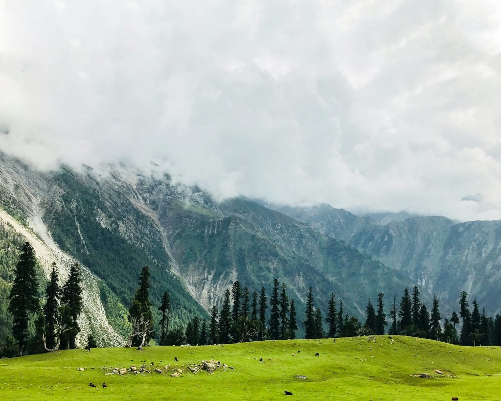 kashmir