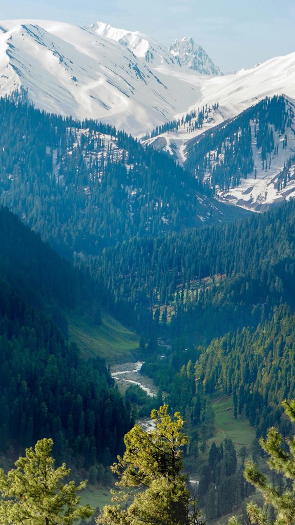 kashmir