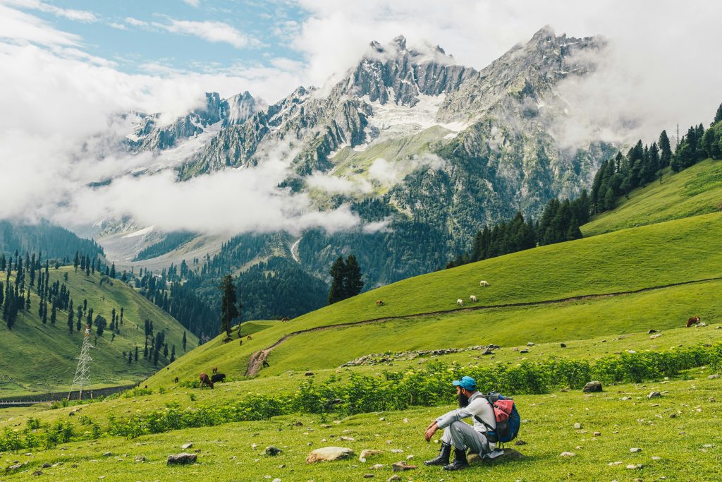 kashmir