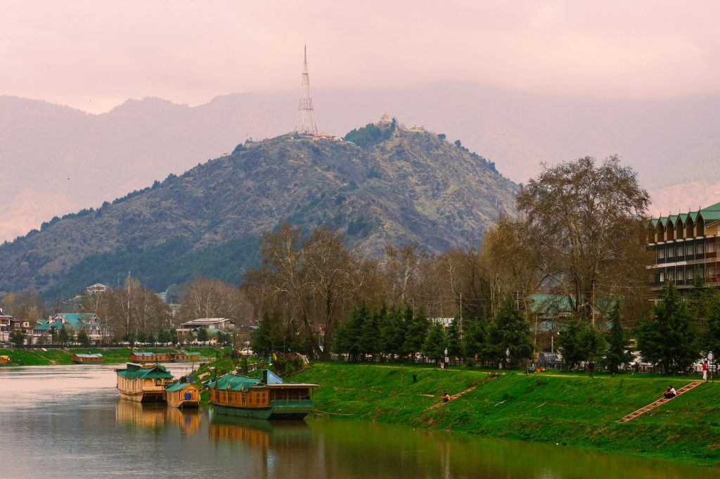 kashmir