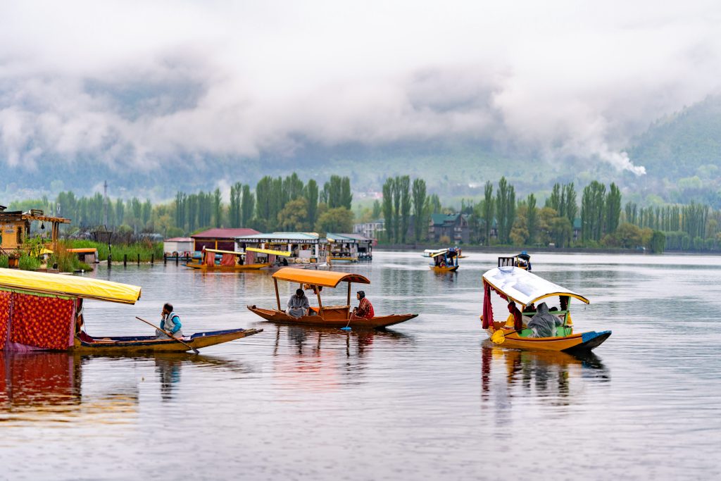 kashmir