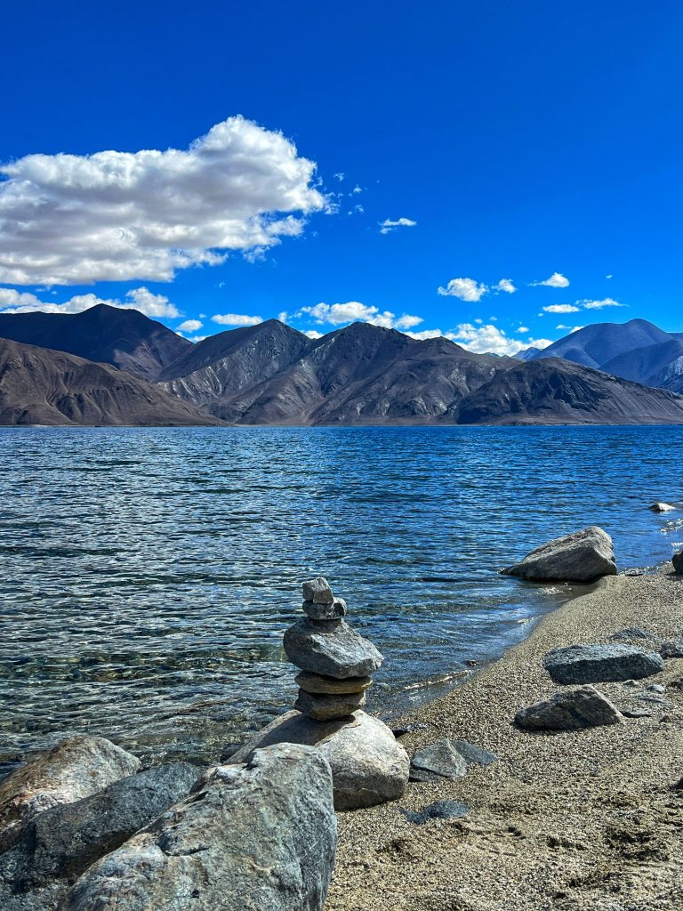 pangong lake ladakh