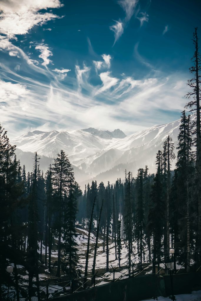 kashmir